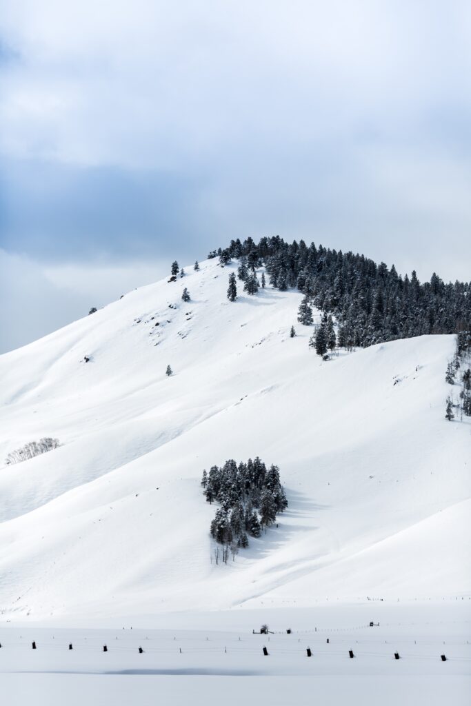 Snow-covered mountain landscape with scattered trees under a partly cloudy sky. The foreground shows a snowy expanse, leading to a hill with more trees near the top. Serene and untouched winter scene.
