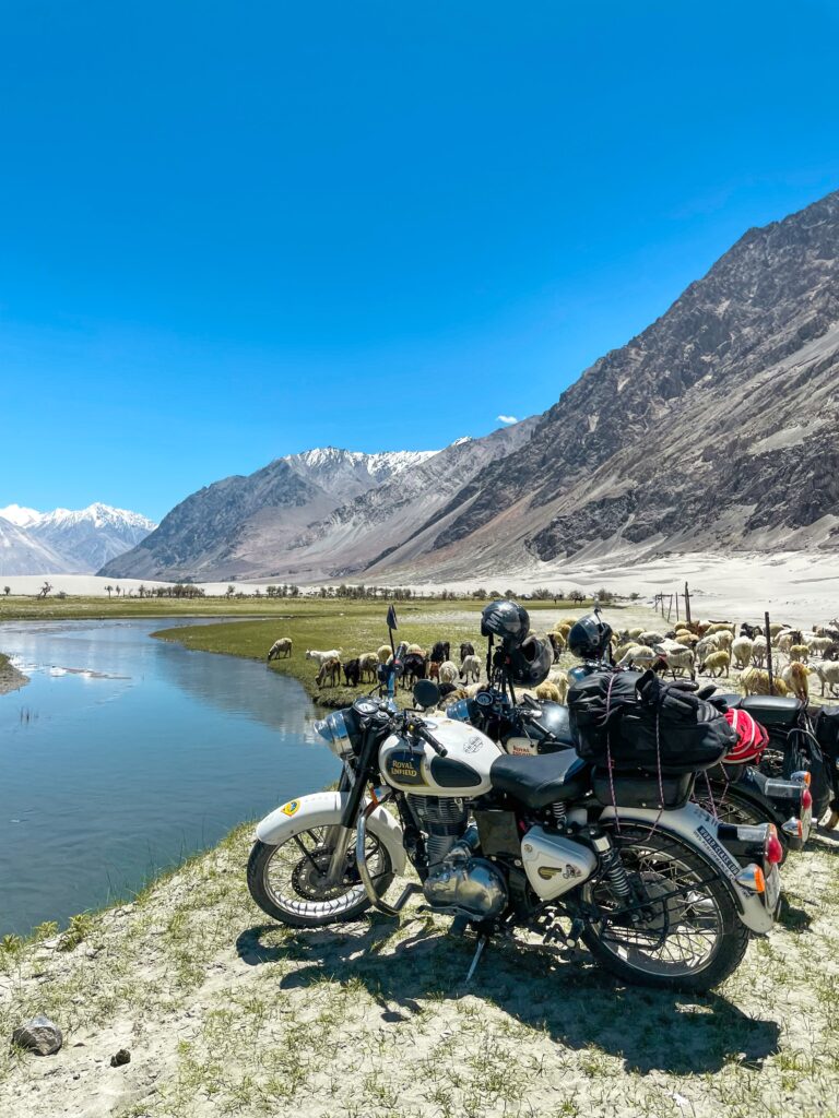 A white motorcycle is parked beside a river with scenic mountains in the background. A flock of sheep grazes near the riverbank, and the sky is clear and blue. The image captures a serene and picturesque landscape.
